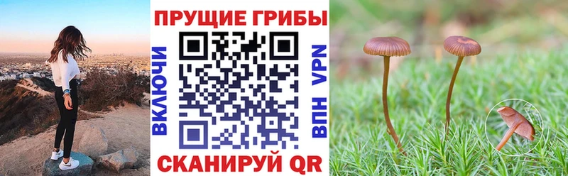 наркотики мориарти телеграм Галлюциногенные грибы ЛСД Балаково
